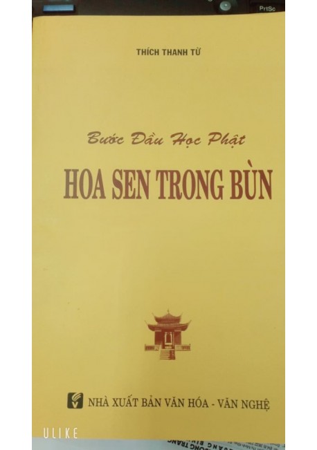 Bước đầu học phật - hoa sen trong bùn