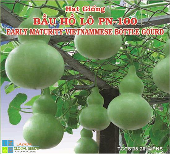 [HCM]BẦU HỒ LÔ PHÚ NÔNG PN-100_GÓI 1 GRAM  .