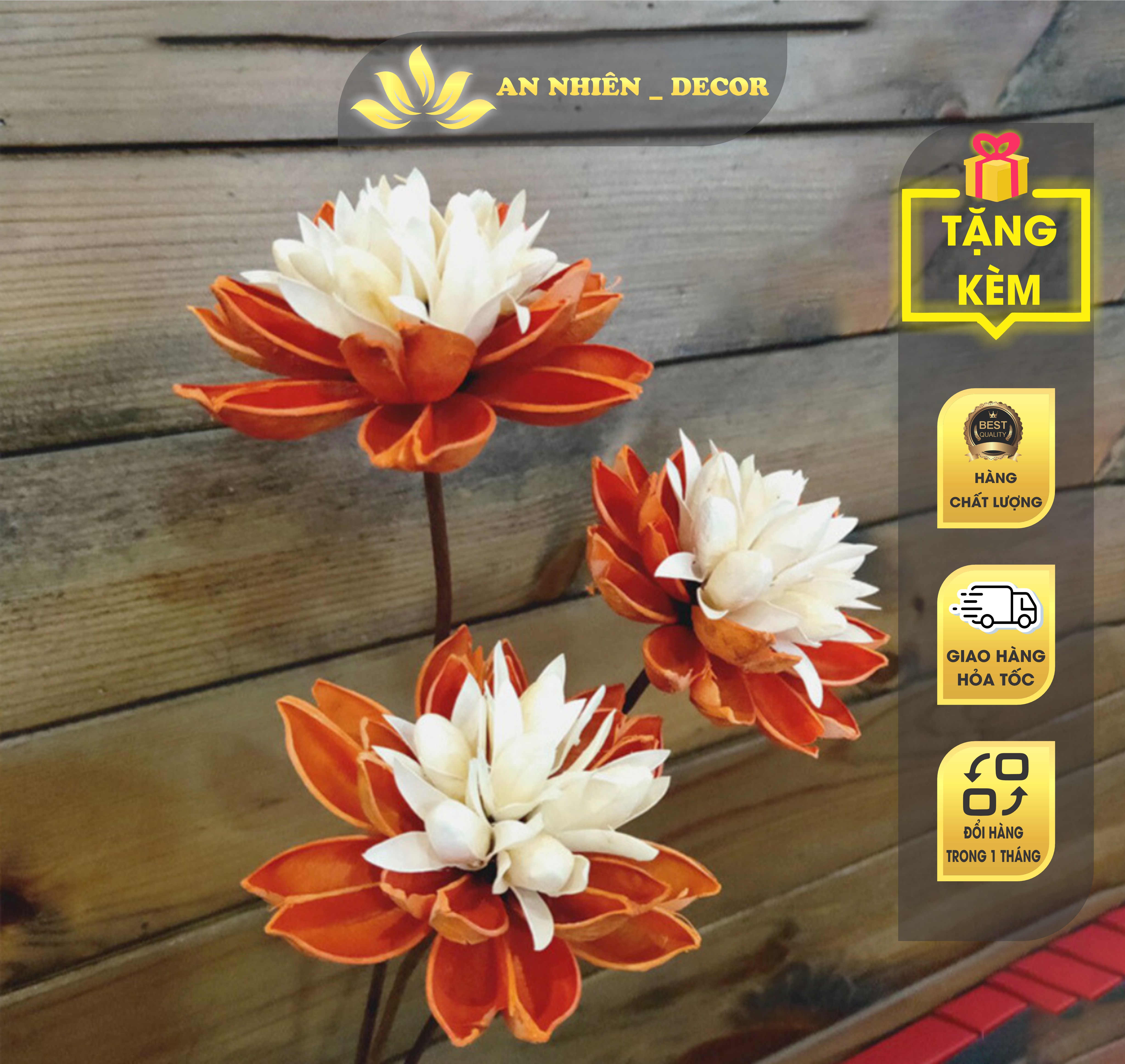 Hoa sen gỗ nhiều màu - hoa sen khô trang trí