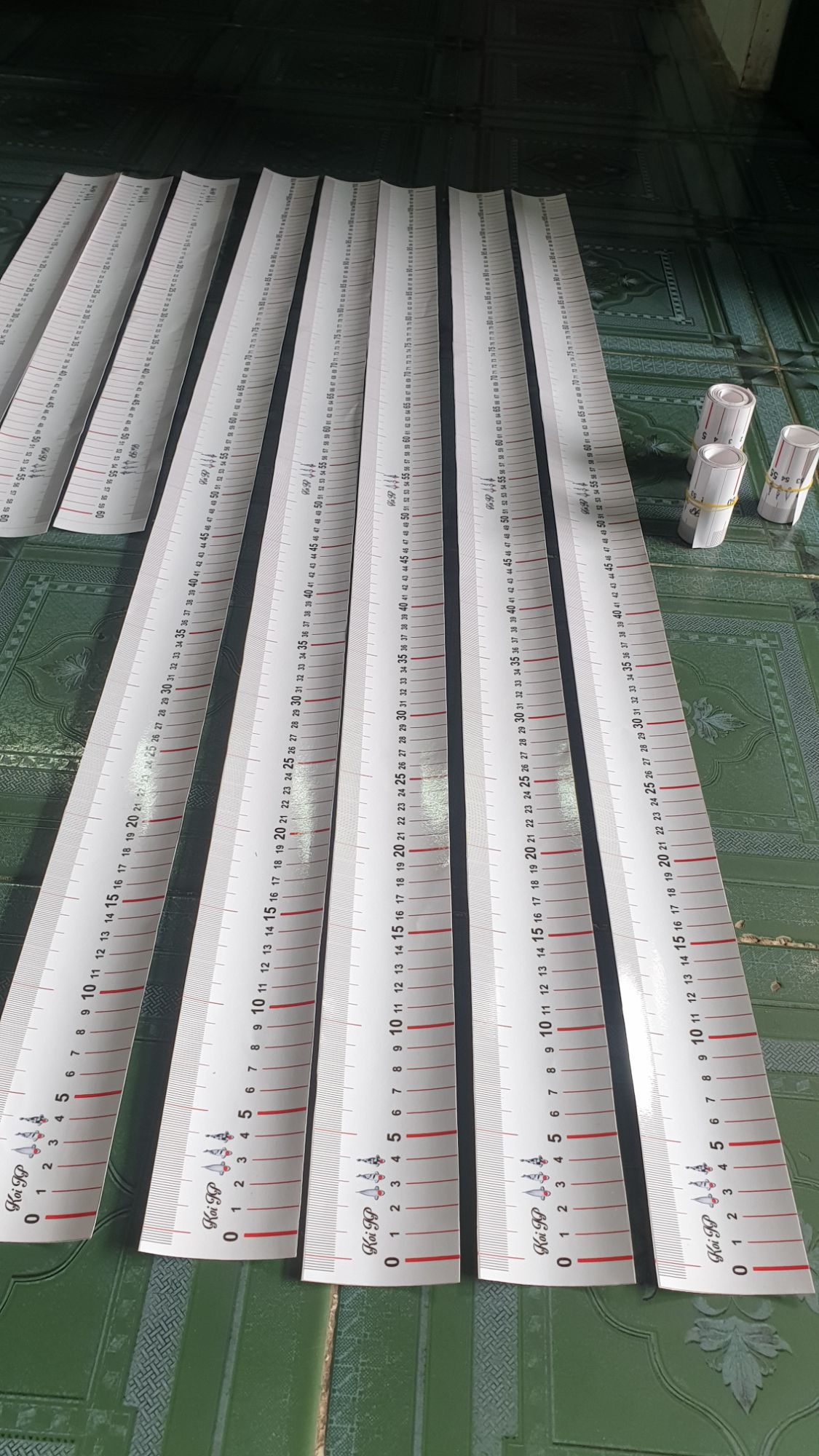 Thước decal đo cá