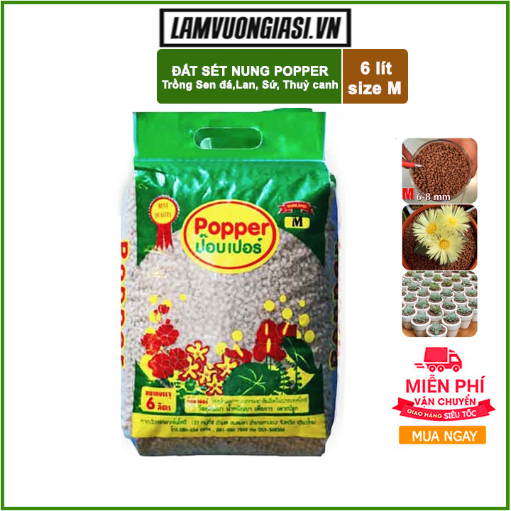 Bao 6 lít size M Đất sét nung Popper Thái Lan- Trồng sen đá, trồng lan, trồng cây sứ, thuỷ canh.