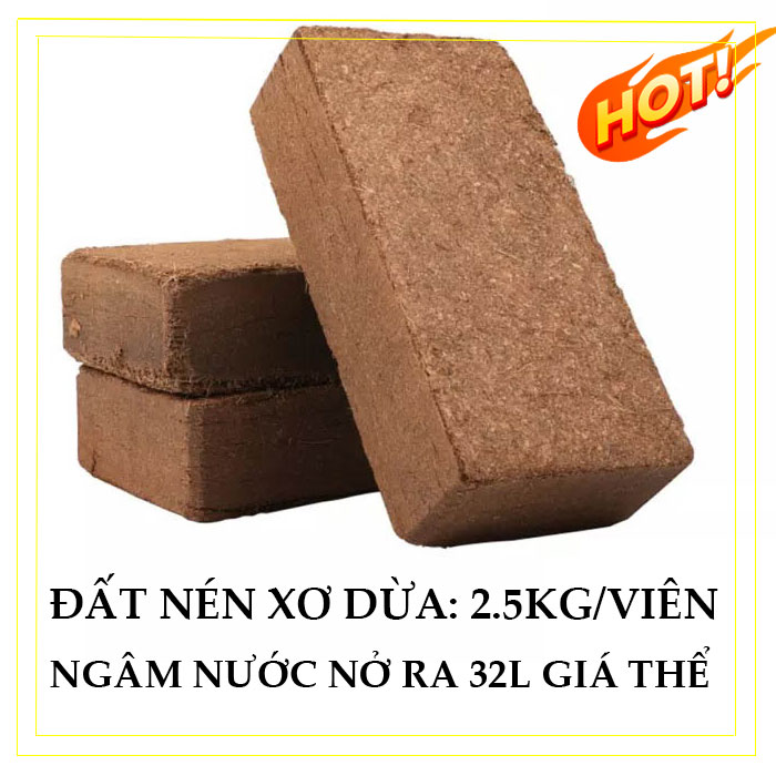 3 viên nén xơ dừa, 2,5kg/viên