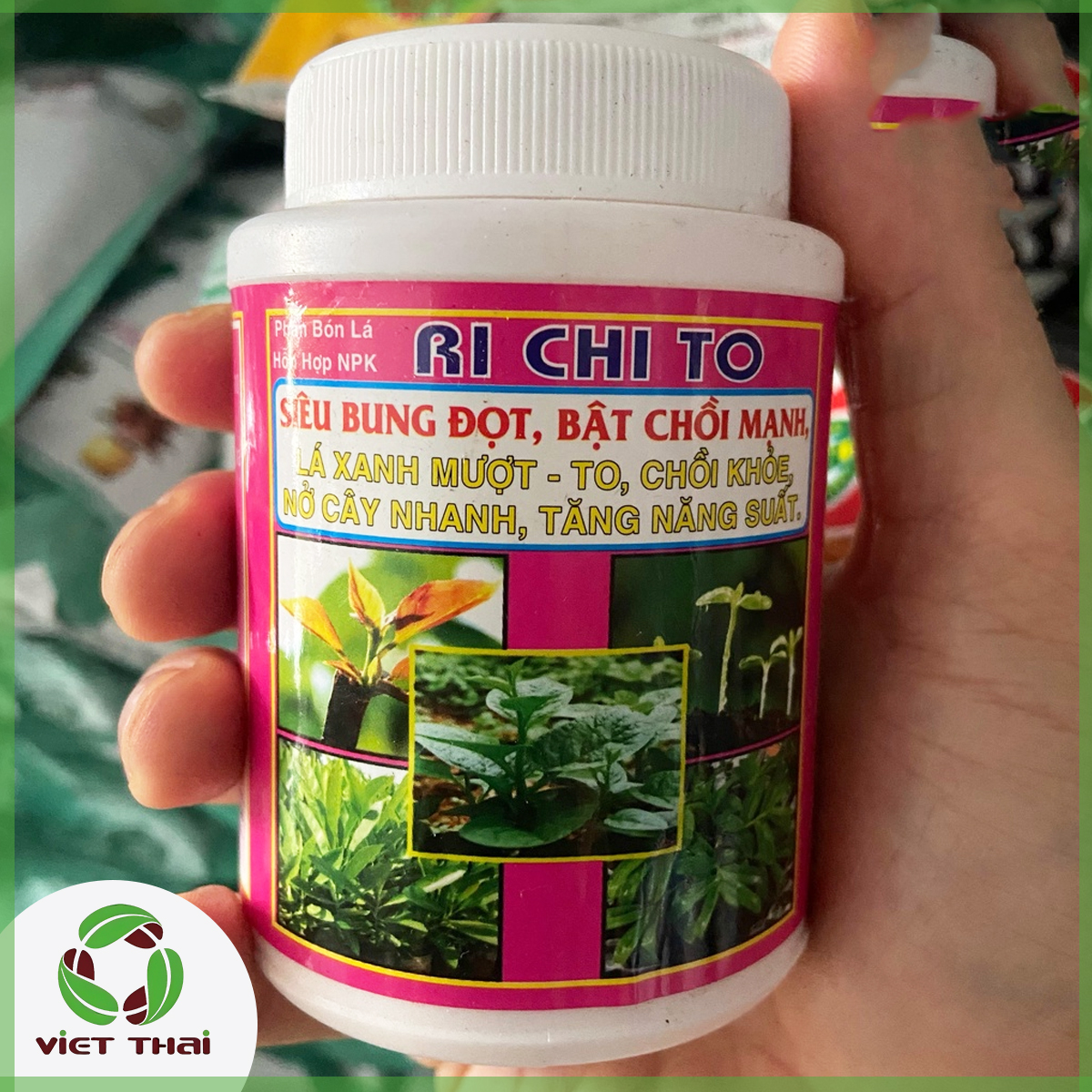 Phân bón siêu bung đọt, đâm chồi mạnh richito - hgvt1