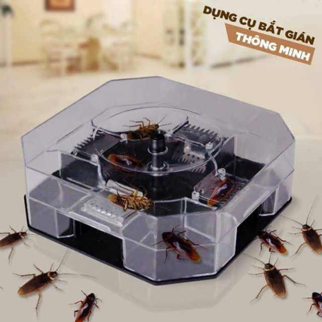 Dụng cụ bắt gián Dụng Cụ Bẫy Gián Bắt Gián Siêu Tiện Lợi Không Dùng Hóa Chất Bẫy bắt gián