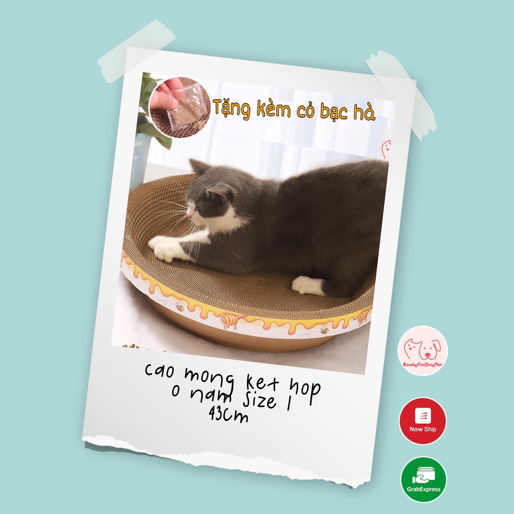 Cào móng kết hợp ổ nằm cho mèo