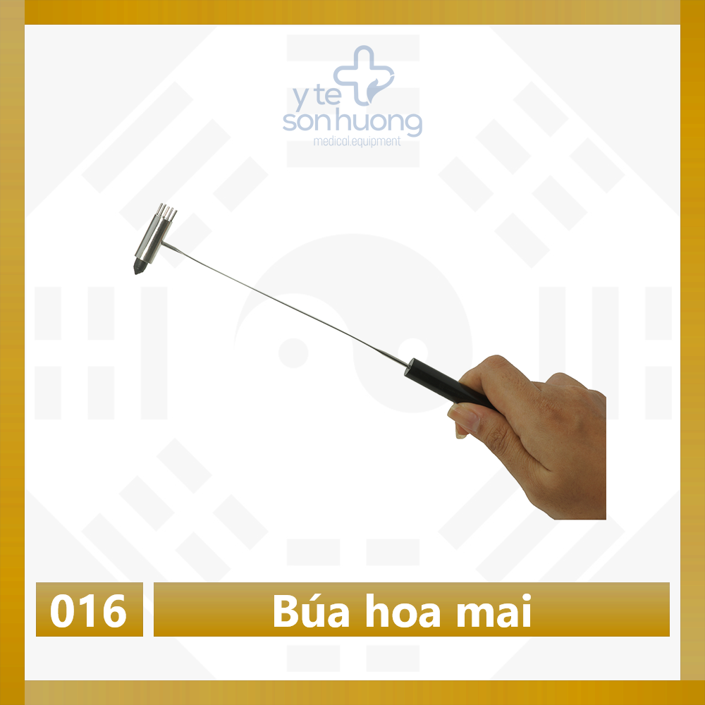 Cây búa hoa mai nhỏ Diện Chấn