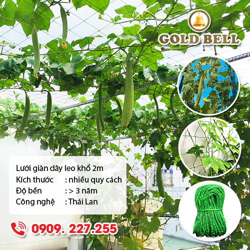 Lưới giàn dây leo Gold Bell (Chuông Vàng)  Chính Hãng ô lưới 10cm khổ 2m nhiều quy cách