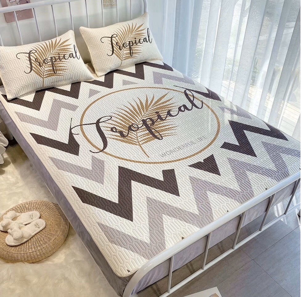 Chiếu điều hòa tencel cao su non thương hiệu mới nhất 2mx2m2 tặng kèm 2 vỏ gối đầu