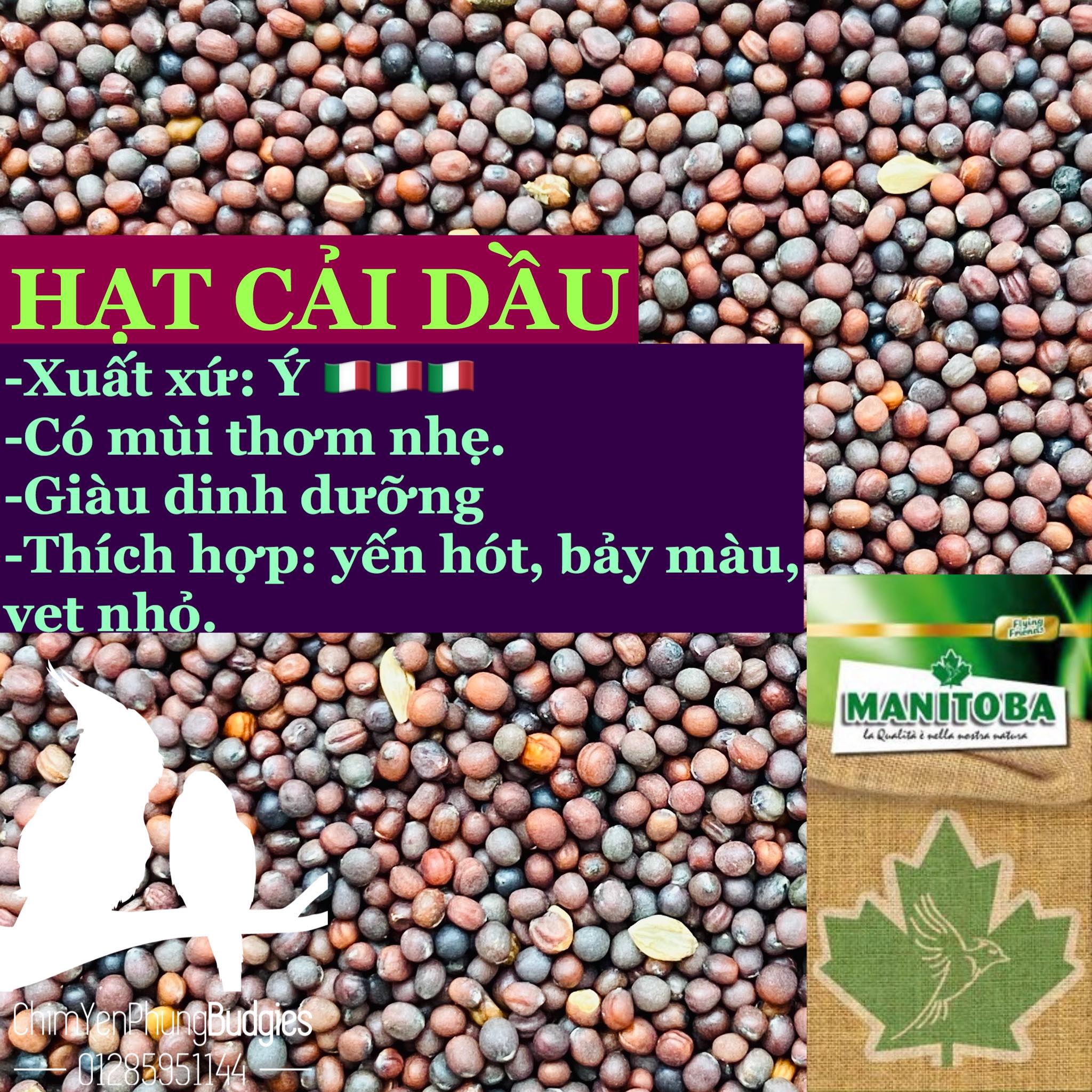 1kg hạt cải dầu (hạt mầm ri) cho Yến Hót, Bảy Màu, Manh Manh...