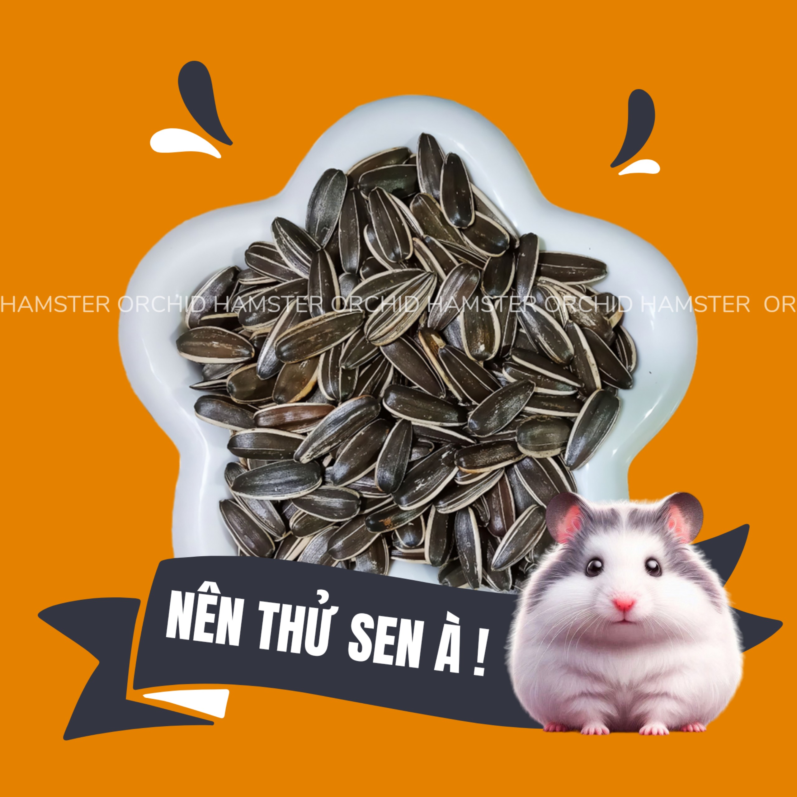 Hạt Hướng Dương Cho Hamster