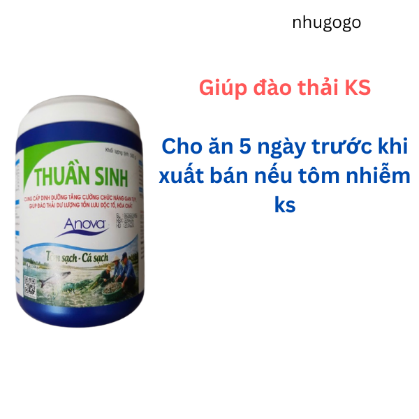 Anova Thuần sinh hộp 500 gram đào thải khang sinh trước khi xuất bán cho tôm