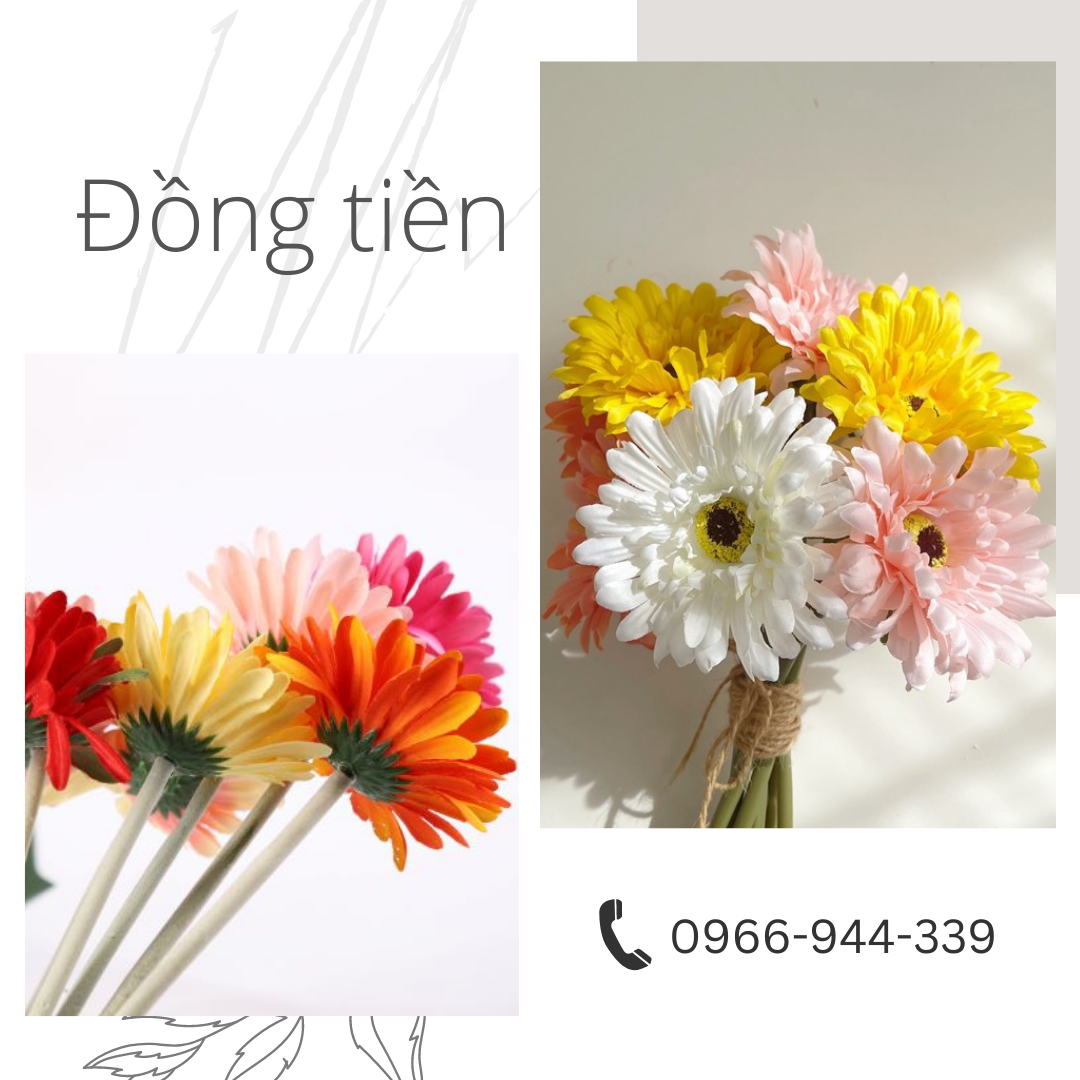 Hcm. hoa đồng tiền hoa giả hoa lụa trang trí quán cafe, phòng khách, làm việc, chụp hình