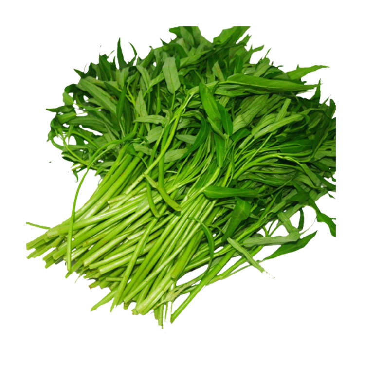 Râu Muống Nước - Thực Phẩm Chia Sẻ