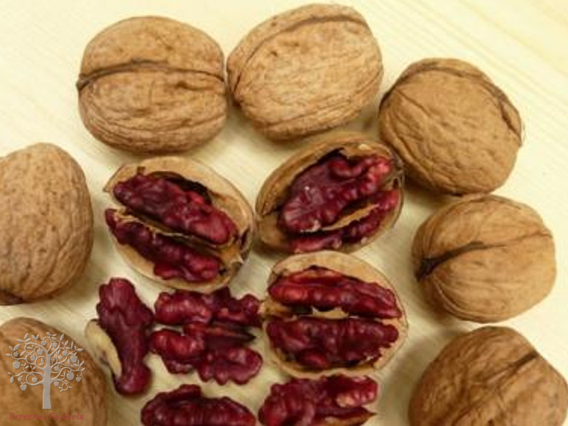 Quả óc chó đỏ nguyên vỏ 500gr - Nhập khẩu Mỹ siêu dinh dưỡng cho bà bầu và trẻ nhỏ