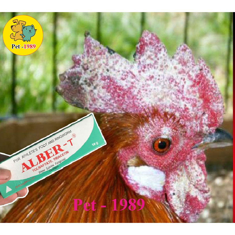 Trị nấm gà, mốc gà chọi và chim, thuốc lác gà đá ALBER-T dạng tuýp bôi 10gr MADEIN THAILAND Pet-1989