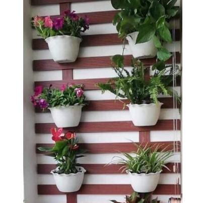 Chậu ốp tường trồng cây, hoa- Chậu treo tường trồng cây, chậu bán nguyệt ốp tường loại 1