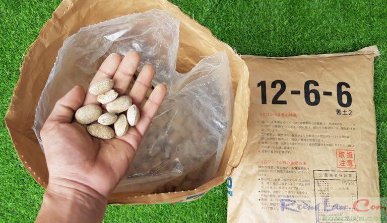 Phân tan chậm hạt bàng nurseryace 12-6-6+2mgo nhật bản. túi 500gr