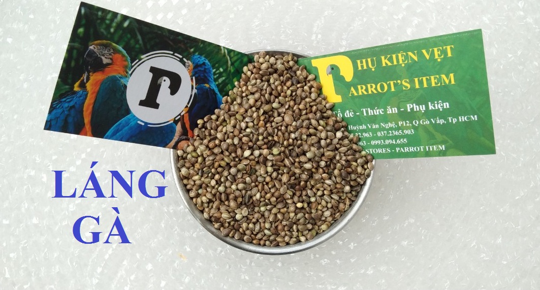 Hạt láng tròn rất nhiều chất dinh dưỡng cho chim, vẹt