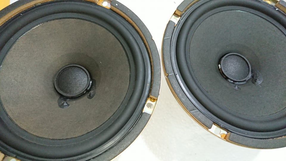 Cặp loa cánh tivi Sony 34in 16,5cm