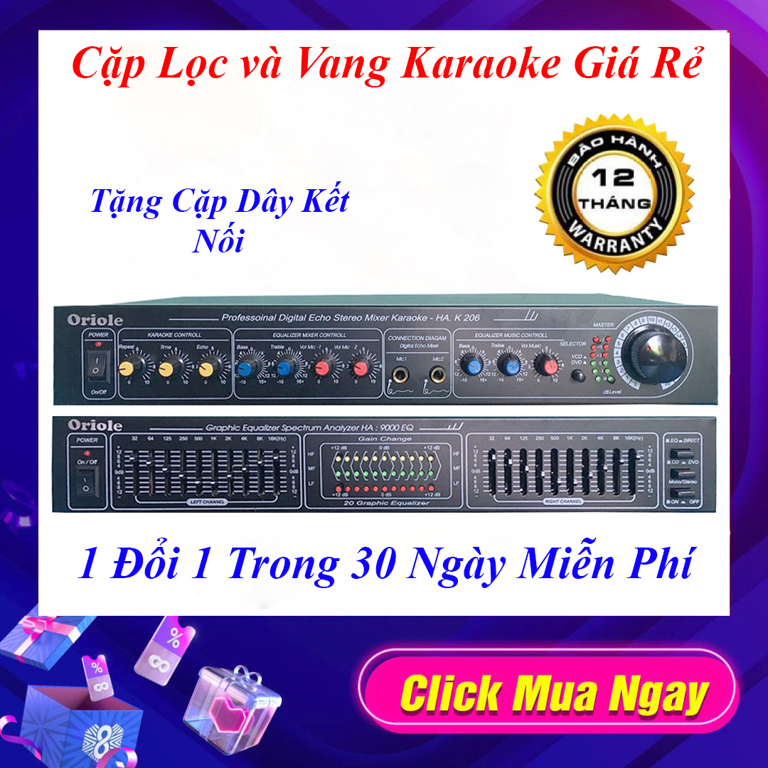 Bộ 2 Thiết bị xử lý tín hiệu Lọc và Vang Cho hát karaoke giá rẻ, tặng dây kết nối bảo hành 12 tháng, 1 đổi 1 trong 30 Ngày