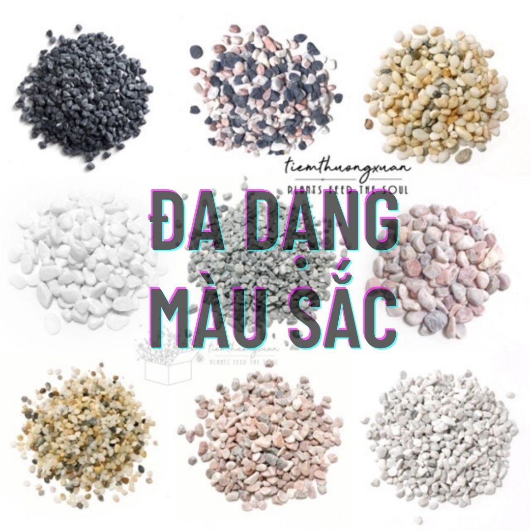 [GIÁ SỐC] Sỏi, đá nhỏ - 1kg - Trang trí hồ cá, bể cá mini, deocor cây, cây cảnh, sen đá, cây giống - Sỏi trắng, sỏi đen, sỏi hồng, sỏi vàng, sỏi xám, sỏi nhiều màu - Tiệm thường xuân