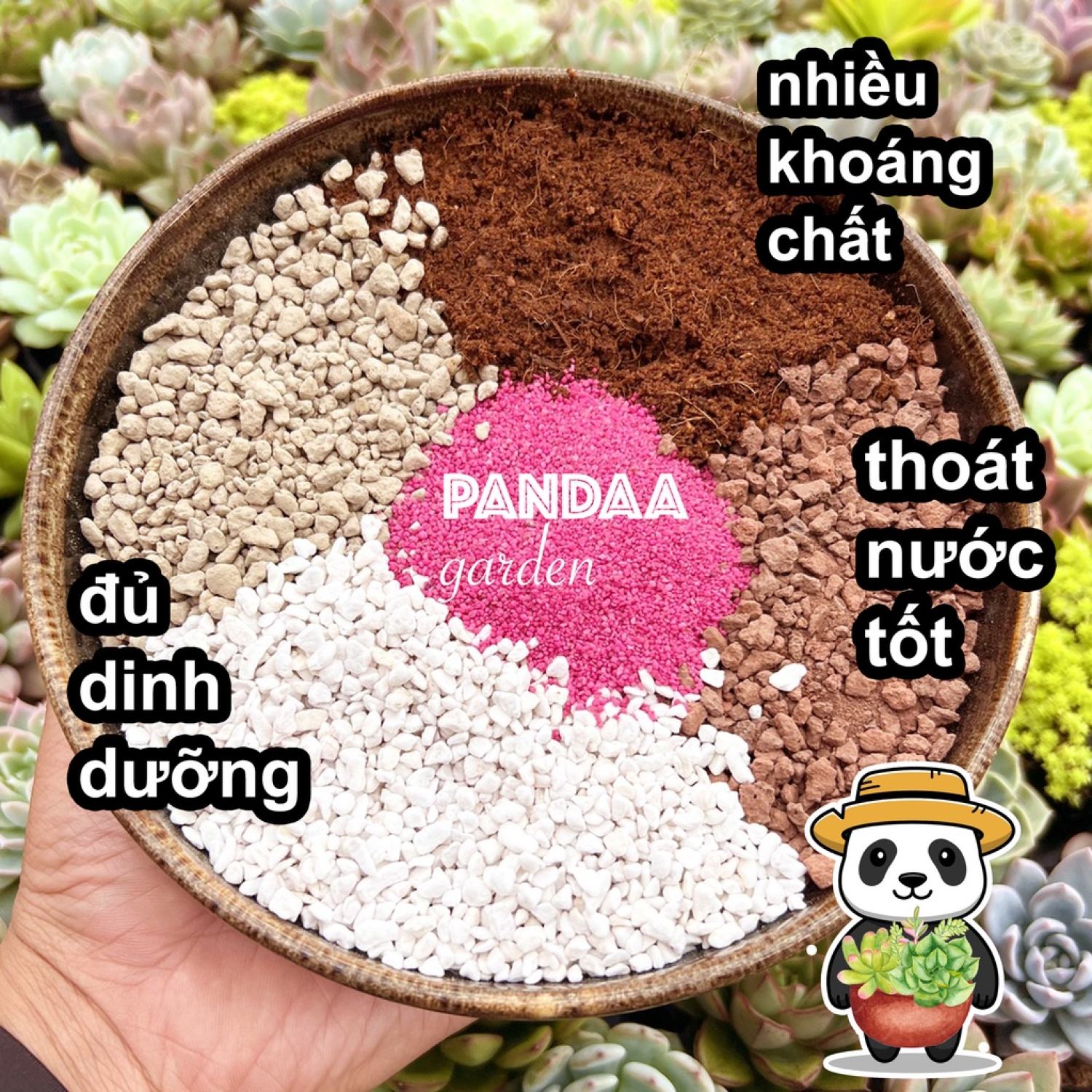 Giá thể trồng sen đá cao cấp, đất trồng sen đá đầy đủ khoáng chất dinh dưỡng trồng sen đá, pandaa garden sen đá đà lạt