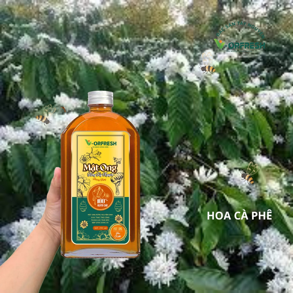 Mật ong hoa cà phê nguyên chất v- orfresh 250/500/1000ml