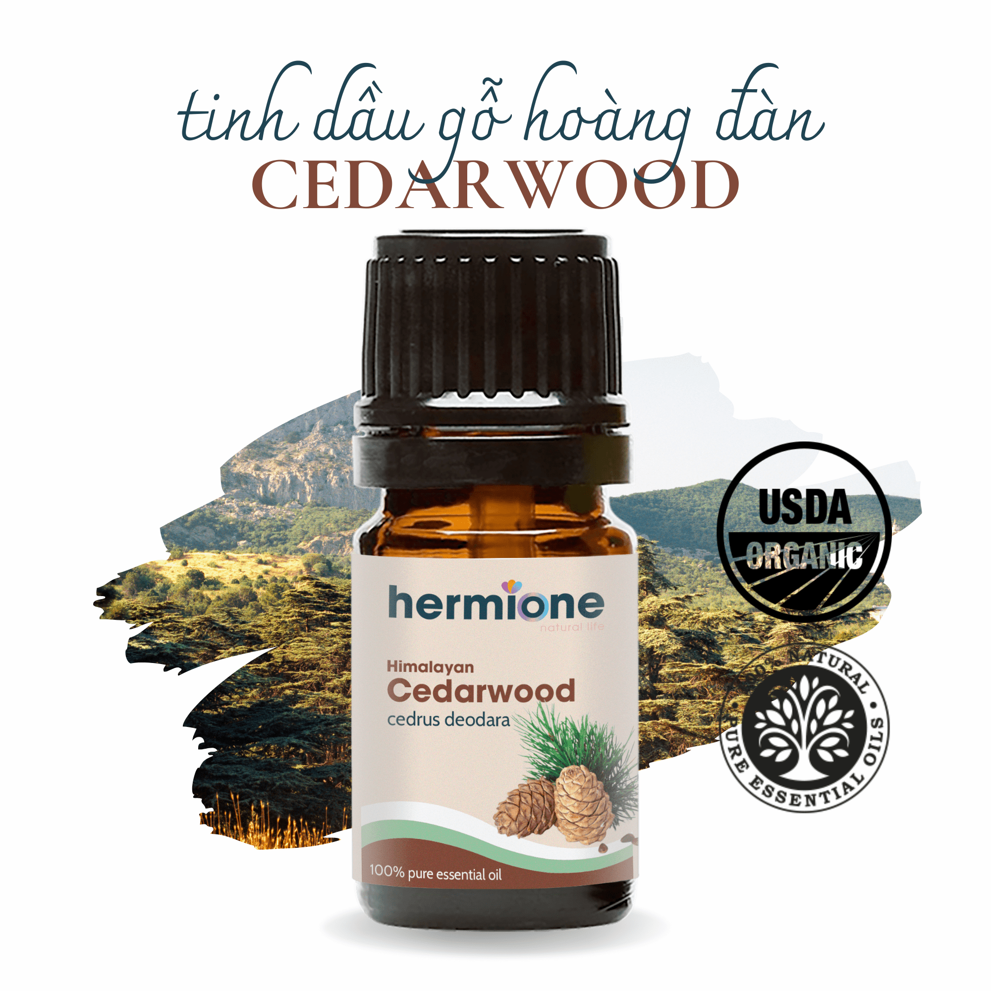 Tinh Dầu Hoàng Đàn Cedarwood Hermione Natural Life, 100% Thiên Nhiên Nguyên Chất, Cao Cấp Nhập Khẩu, Thơm Dịu Nhẹ, Xông Thơm Phòng, Dưỡng Da Làm Đẹp, Kháng Khuẩn, Ngừa Mụn Hiệu Quả, Kiểm Nghiệm Quatest 3