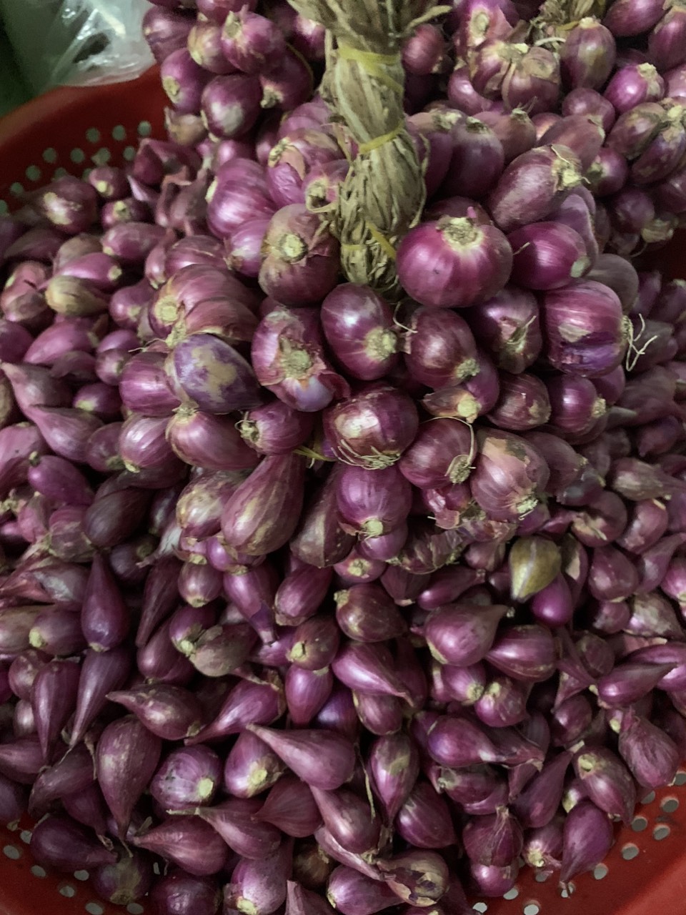 Hành tím vĩnh châu, sóc trăng Loại lớn 500g