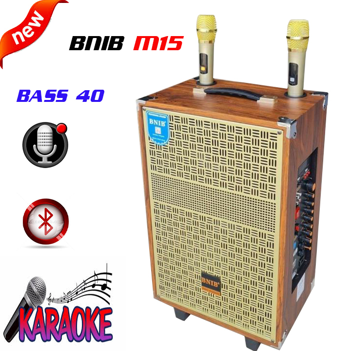 free shipLOA KÉO CAO CẤP BNIB M15 BASS 40 ÂM THANH VANG CHẮC SỐNG ĐỘNG, KÈM 2 MÍC VÀNG UHF TUYỆT ĐẸP, BẮT XA NHẬY