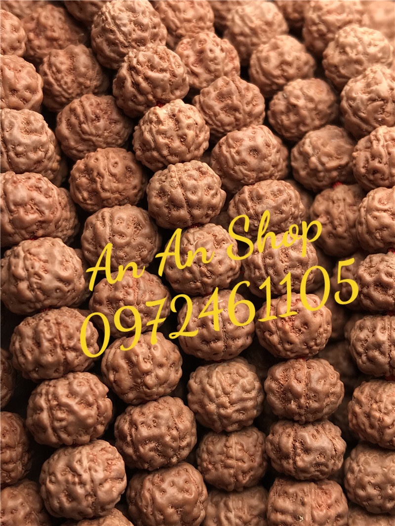 Tràng bồ đề 108 hạt đeo cổ