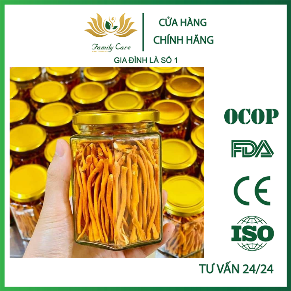 Đông trùng hạ thảo sấy thăng hoa - đông trùng hạ thảo thượng hạng - family care
