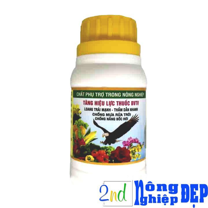 Lưu dẫn đại bàng -thấm dẫn nhanh