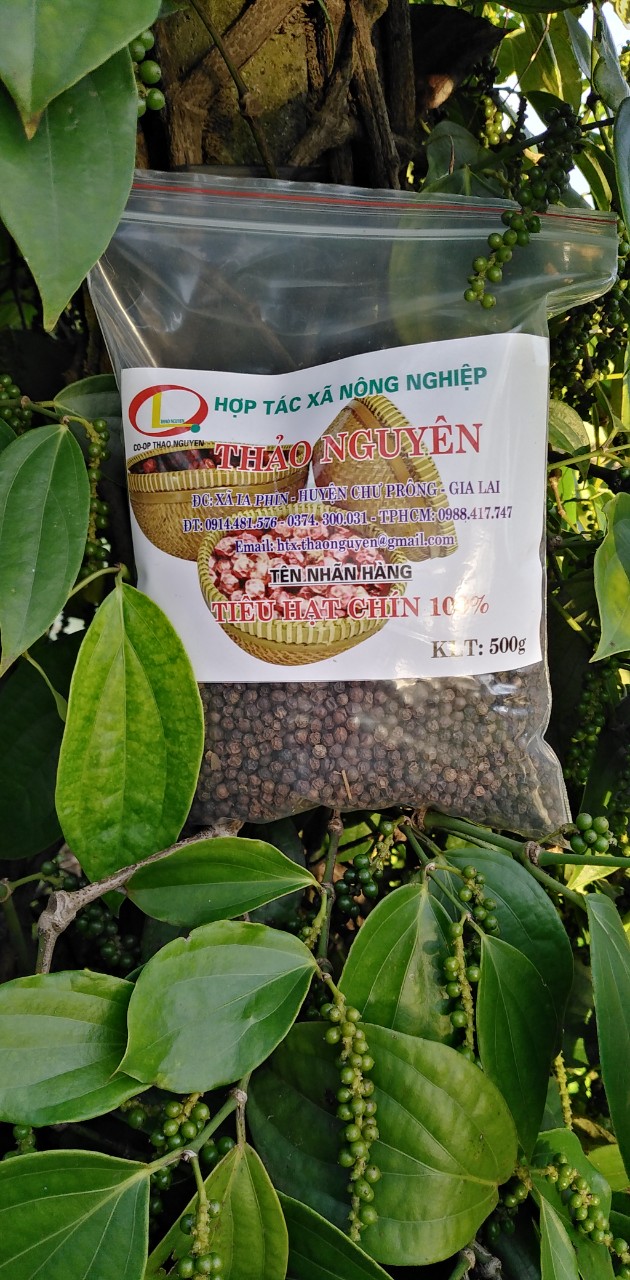Tiêu đen nguyên hạt loại 1 Thảo Nguyên 1 kg