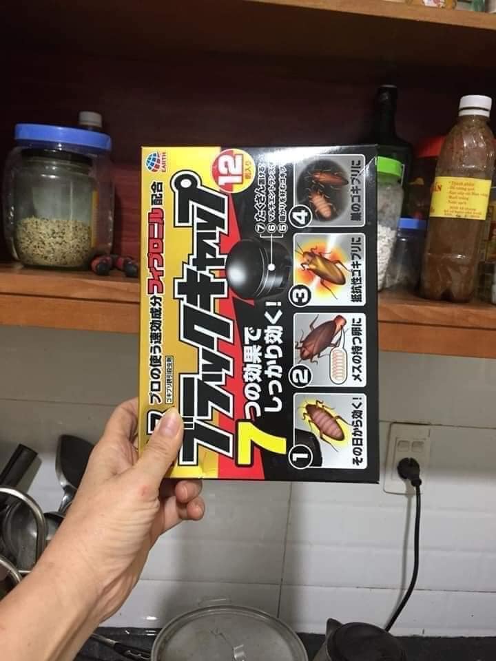 Thuốc diệt gián nhật bản-thuốc diệt gián nhật bản hộp 12 viên