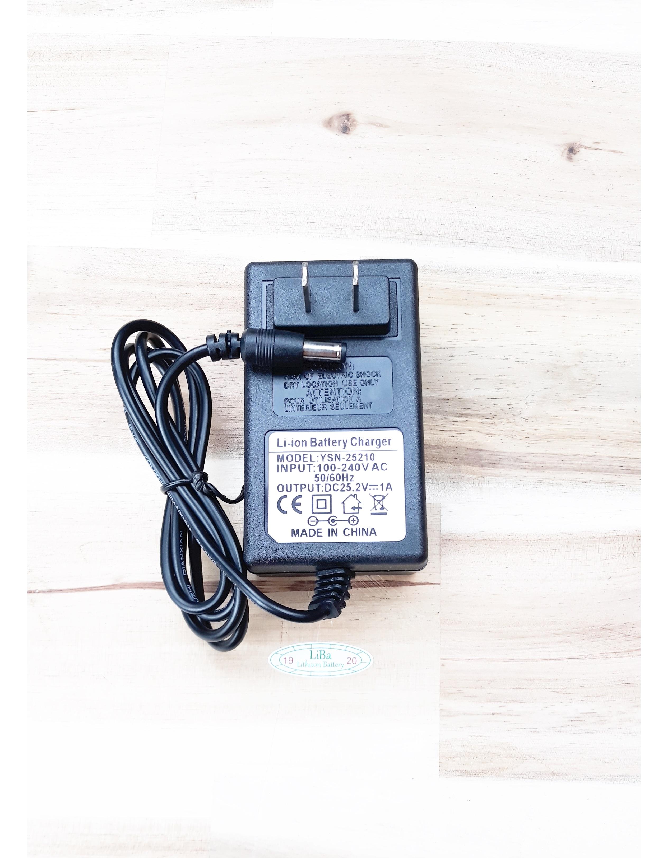 [HCM]Sạc chuyên dụng pin Lithium 24 V _ Liba