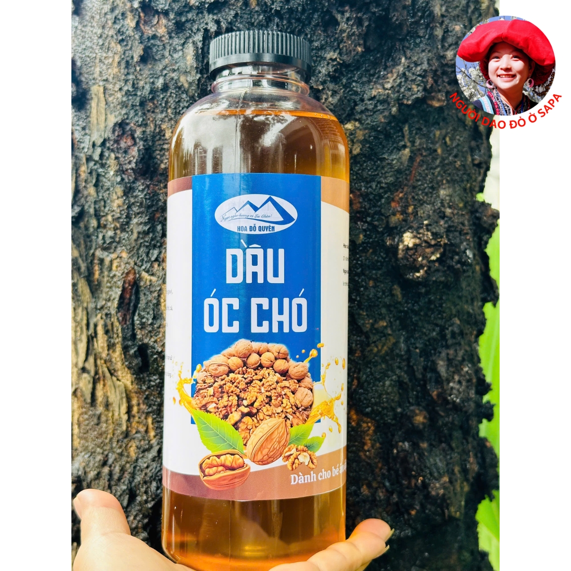 Dầu óc chó vàng rừng nguyên chất (500ml,1 lít). Tinh dầu hạt óc chó cho bé ăn dặm từ hạt óc chó nguyên tách vỏ