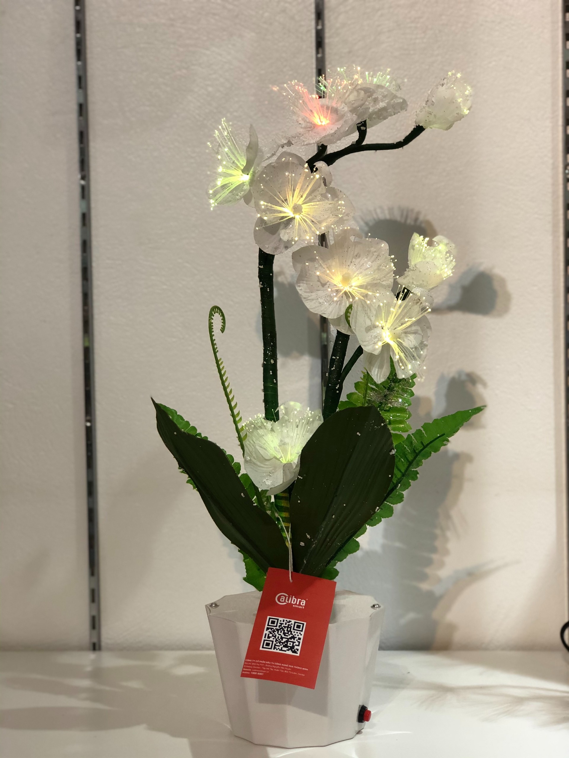 Bình hoa đèn led sợi quang đổi màu - bình hoa trang trí - bình hoa lan trắng cắm điện 220V BH331