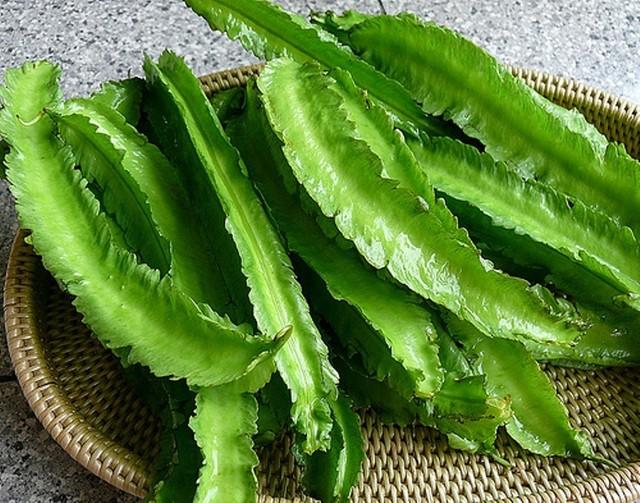 Hạt giống đậu rồng