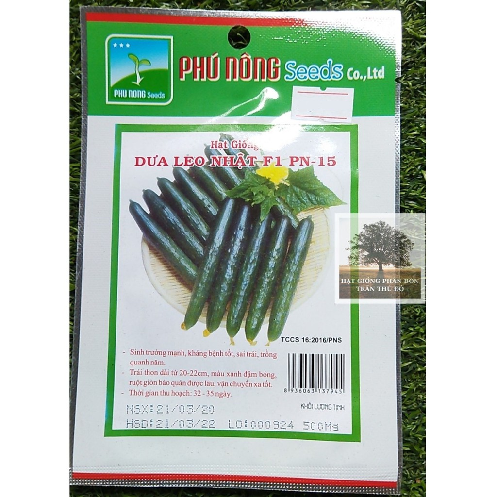 Hạt giống dưa leo nhật f1 pn-15 phú nông - gói 0.5gr