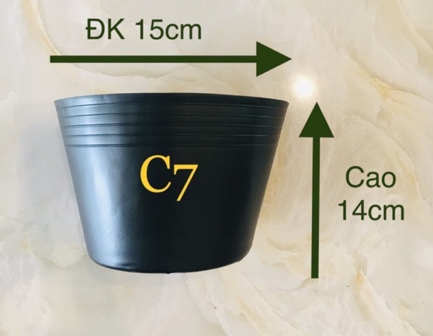 Chậu nhựa c7 cũ