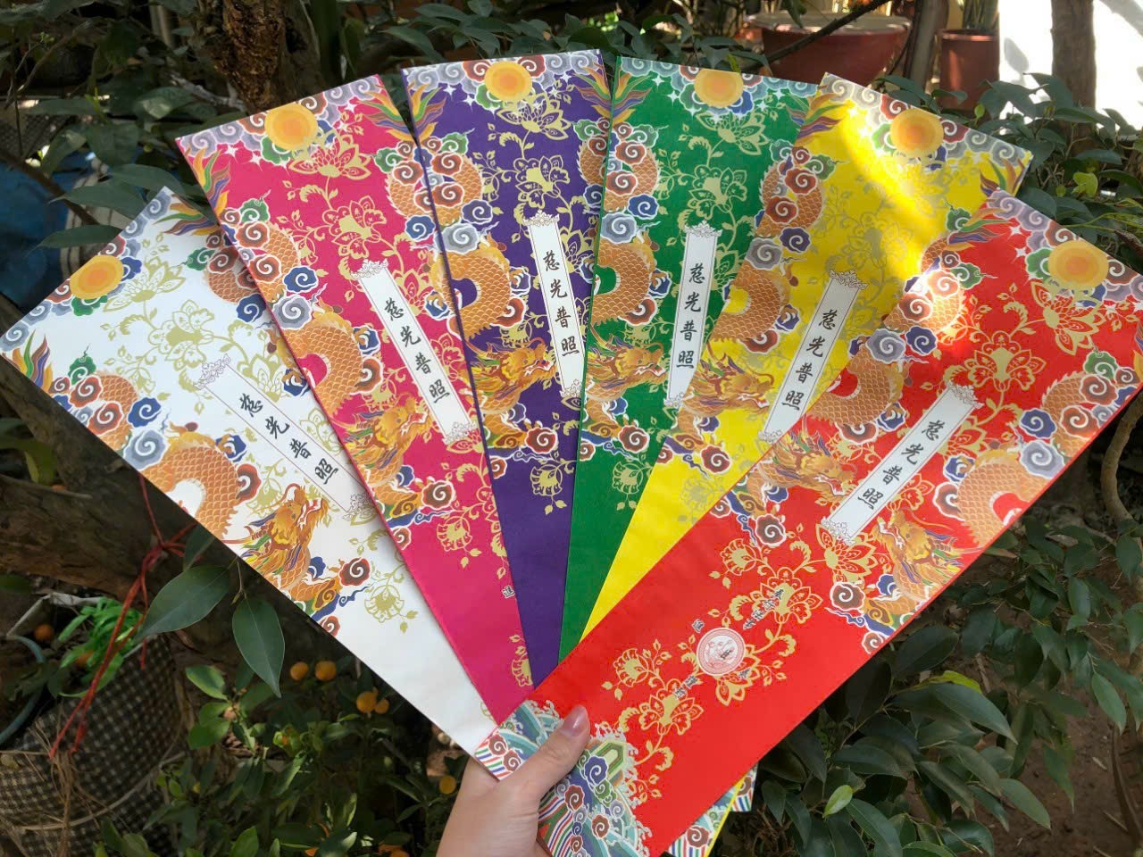 100 vỏ sớ, bao liêm sớ long vân thủy ba 9x31cm