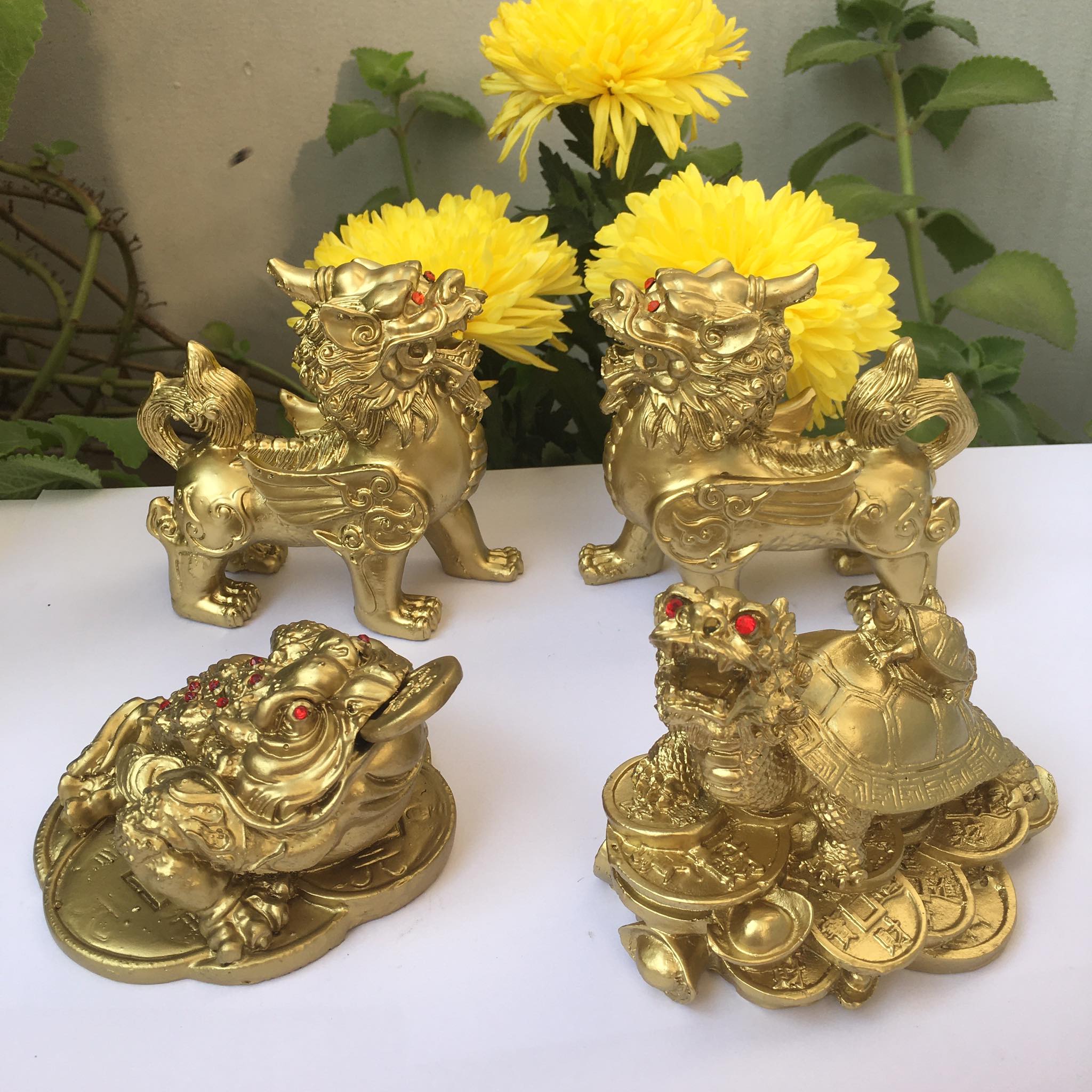 Combo  cặp tỳ hưu - long quy - cóc ngậm tiền cho mọi người