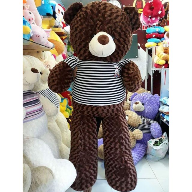 GẤU BÔNG TEDDY KHỔ VẢI 1M6 CAO 1M4