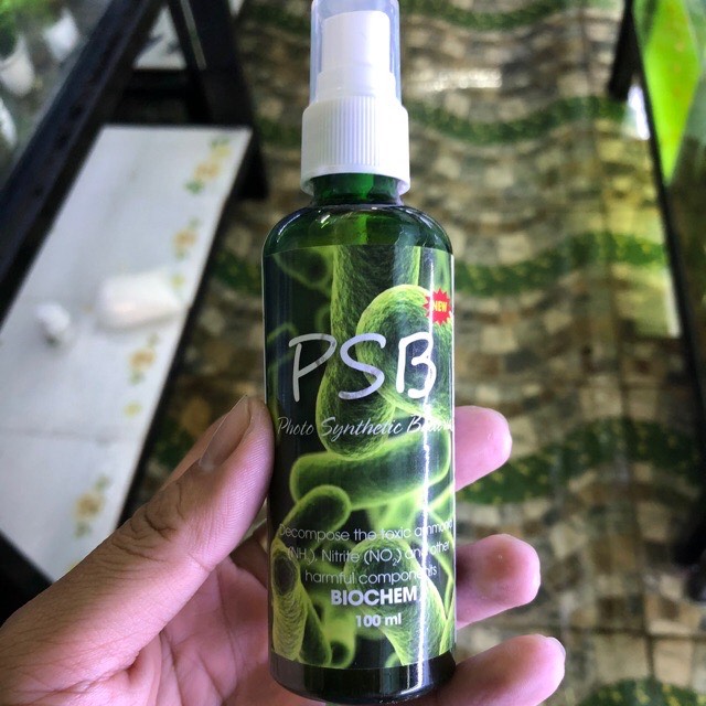Psb xanh , vi sinh cho hồ cá , vi sinh giúp hồ cá trong nước, vi sinh phiên bản mới