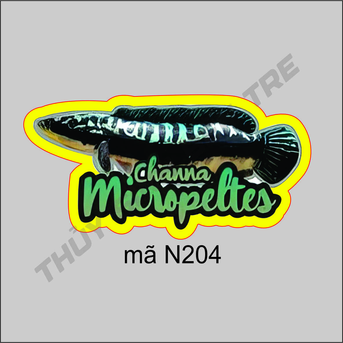 sticker - tem dán cá lóc cảnh 10cm - trang trí hồ cá theo phong cách indo - màu sắc bắt mắt - 5