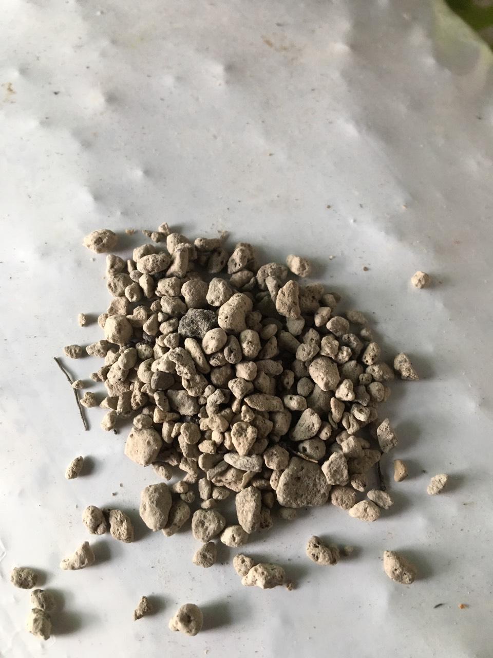 Đá núi lửa Pumice Indonesia cỡ 5 đến 8 mm  5 kg