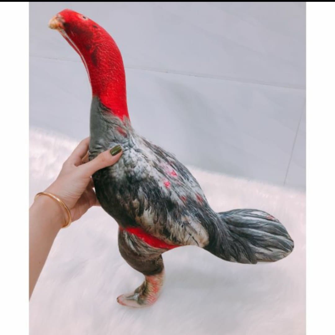 Thú bông 3d cao cấp - đồ chơi