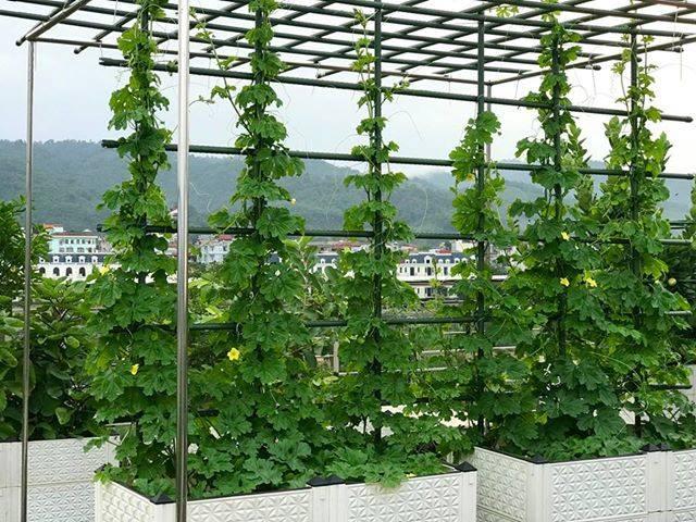 Ống lõi thép bọc nhựa phi 16*210cm, combo 10 ống