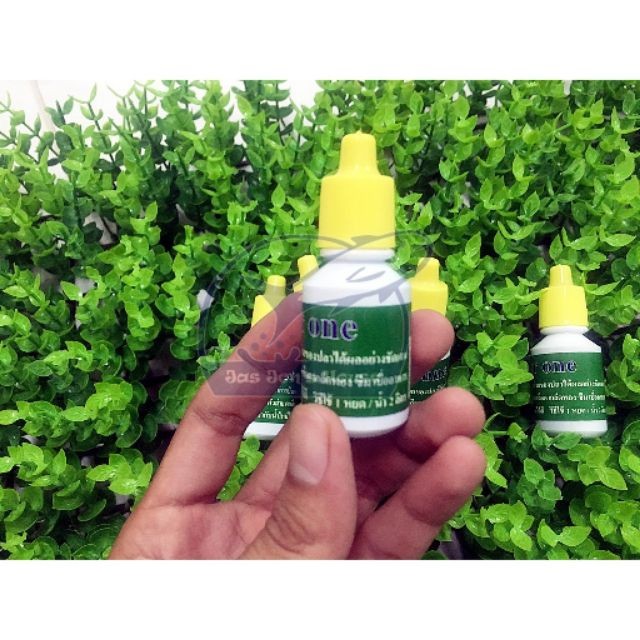 Nước dưỡng cá Super One Thái Lan - Guppy Xanh loại thái cam kết hàng đúng mô tả chất lượng đảm bảo